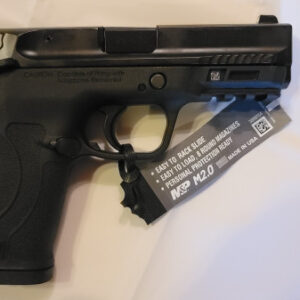 Smith & Wesson M&P 380 SHIELD EZ .380 ACP